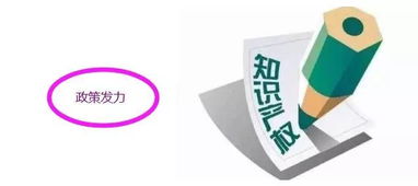 知識產(chǎn)權(quán)新風(fēng)口來臨 最強概念股全解析