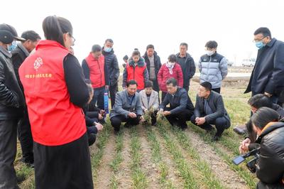科普惠農進田間，科技賦能助增收——濟寧市農科院開展農技專題培訓