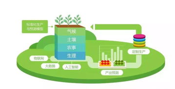 5G網絡接通 農業技術研究的轉折點能否落地農田？