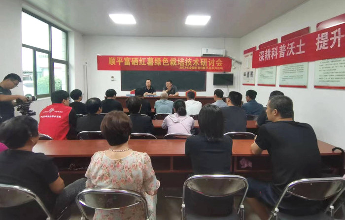 科技賦能促增收 中國農業大學專家赴順平縣指導富硒紅薯種植新技術