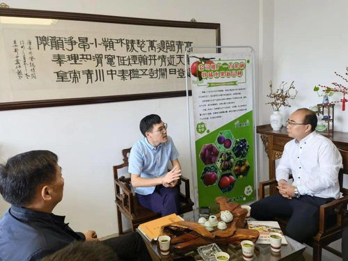 招商征途與農(nóng)業(yè)創(chuàng)新 位副縣長(zhǎng)、鄉(xiāng)黨委書記周偉的城鄉(xiāng)發(fā)展蹲點(diǎn)筆記